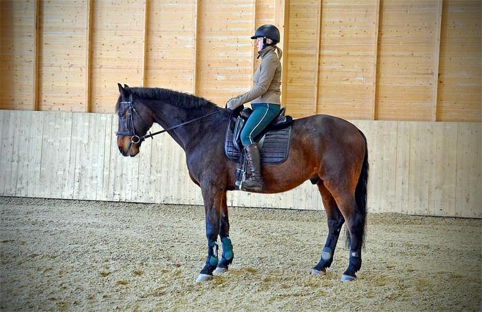 Tietoinen istunta -verkkokurssi by Talliarki Oy